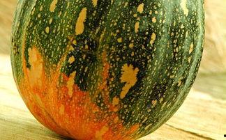 系统摆烂吃瓜,一场别开生面的网络盛宴