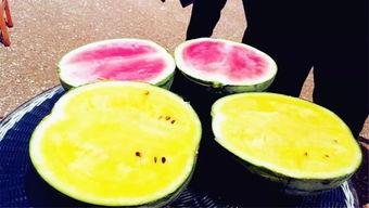 吃瓜爆料7月,吃瓜爆料背后的精彩瞬间