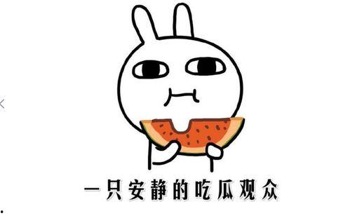 吃瓜群众看生活,吃瓜群众视角下的生活百态