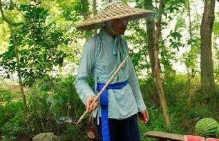 在大树下吃瓜,夏日悠闲时光的惬意体验