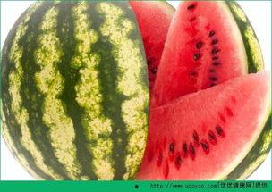 吃瓜网每日,揭秘娱乐圈最新热点，带你领略明星幕后故事