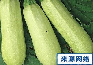孕妇做梦吃白瓜,白瓜预示着什么？