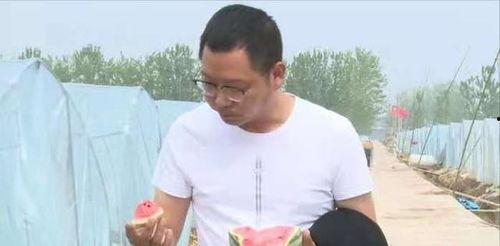宿迁吃瓜主播