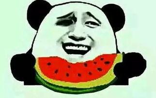 吃瓜忘了换大号,换大号火葬场