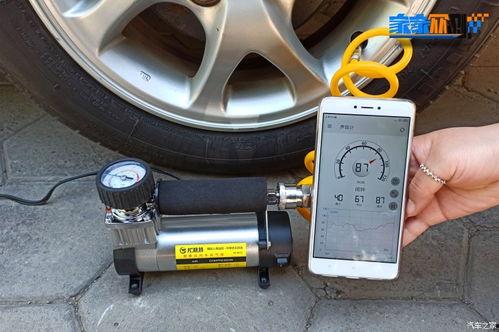 加公司-吃瓜群,一场网络社交的狂欢与反思