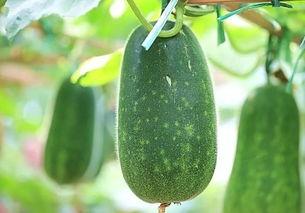 当官方开始吃瓜,揭秘娱乐圈幕后真相