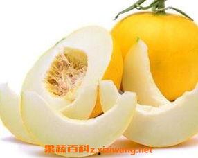 伊丽莎白瓜空腹吃,伊丽莎白瓜空腹食用的健康与注意事项