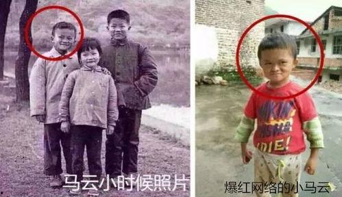 小马云吃瓜,揭秘网络红人的幕后故事