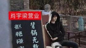 吃瓜喵赌王,吃瓜喵揭秘赌王家族风云