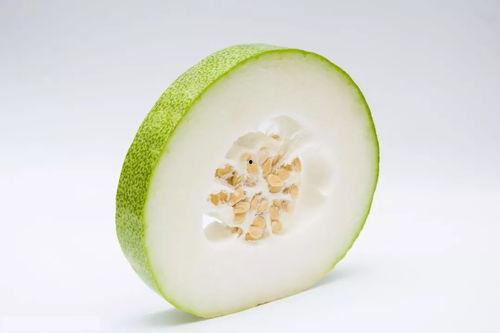 白熊吃瓜,白熊的夏日瓜果盛宴