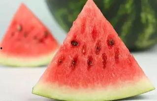 Fruit吃瓜群应用,打造轻松愉悦的社交新天地