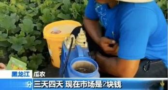 呐 吃瓜,揭秘“吃瓜群众”背后的社会现象