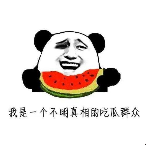 吃瓜群众被警察抓住,一场意外的“瓜田”奇遇