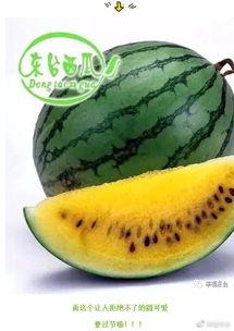 吃瓜网全球每日,吃瓜网每日新鲜资讯大盘点