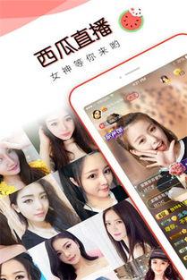 吃瓜免费直播播放,吃瓜群众狂欢时刻