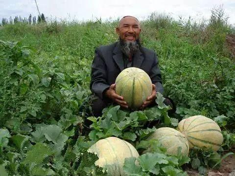 老人小孩吃瓜,共享夏日清凉——吃瓜趣事