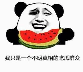 别人分手我们吃瓜,揭秘娱乐圈情侣分手背后的真相