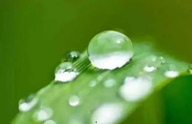 白露以后吃瓜好吗,吃瓜是否适宜？健康饮食指南揭晓