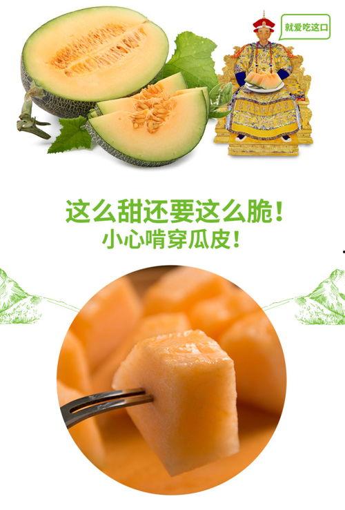 吃蜜瓜烂嘴,揭秘吃蜜瓜烂嘴的惊人真相