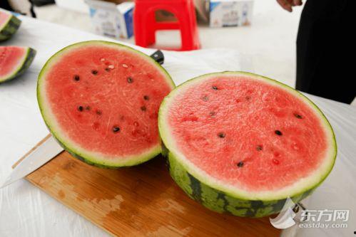 南京可以吃的瓜,探寻这座城市的甜蜜滋味