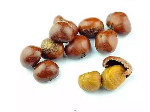 吃板栗可以吃茭瓜吗,探寻美味搭配的奥秘