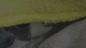 单肩吃瓜,揭秘娱乐圈背后的秘密